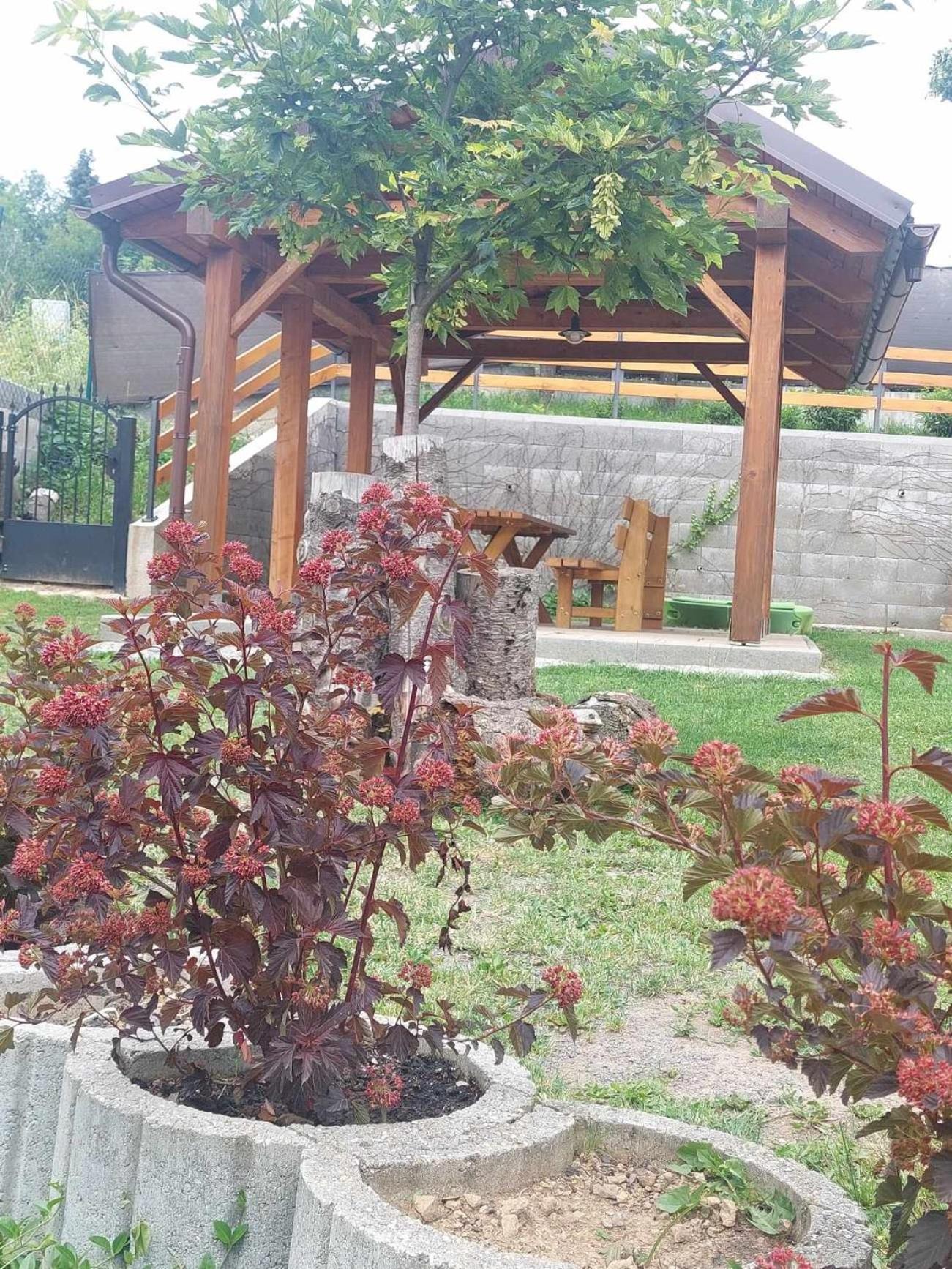בית הארחה שטיאווניצקה באניה 	Burg Nad Banskou Stiavnicou מראה חיצוני תמונה